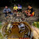 (주)호랑이나무 이미지