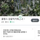 쿨팜스 이미지
