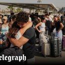 MY DOG GROOMING 이미지