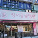 아이원 동물병원 | 비숑 가려움 아토피 피부 알러지 주사(사이토포인트) 후기 인천동물병원추천