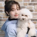 더귀엽개