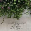 상대동2 이미지
