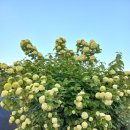 두화농장 이미지