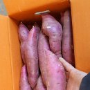 명지농장 이미지