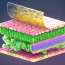 피엘의원 이미지