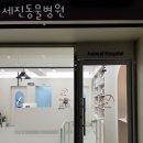 세진동물병원 이미지