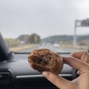 [일본 하사미] 나가사키 근교 소도시 하사미 | 한적한 도자기 마을 | 갈만한 곳 추천 | 그릇 쇼핑 후기