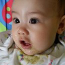 지노한우 이미지