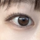 서영 에스테틱 | [아라동 토브에스테틱] 인천속눈썹펌 토브에스테틱 인형 속눈썹 후기
