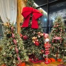 사림동263 | [창원사림동대형카페] 허브. 넓고 예쁜 대형카페추천