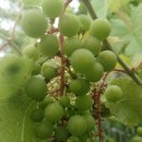 여름 행정사 사무소 이미지