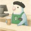 스타벅스 벌써 1년, 30대 후반 스벅 파트너 근무 후기 (-ing)