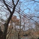 금오산_숲길(등산)1코스 | 구미 금오산 등산코스, 100대명산, 블야 인증