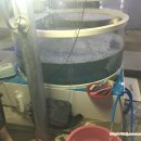 허리케인수산