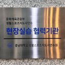 팀터틀랫유성 이미지