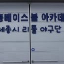 세종베이스볼아카데미