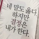 도마도마도 이미지
