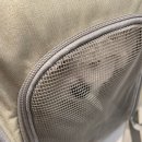 송이종합동물병원 이미지