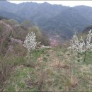 원산농장 이미지