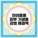 지성동물병원 이미지