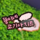 뚱이네고기아지트