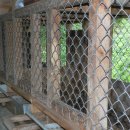 전남흑염소농장 이미지