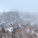 서린카 | 무주 덕유산 눈꽃 산행 날씨가 전부였던 현실 후기(케이블카 곤돌라, 복장, 준비물 )