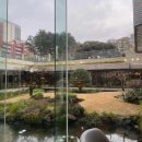 제주 보고정 투어 이미지