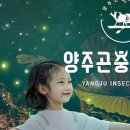 양주곤충박물관 이미지
