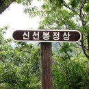 제208회 정기산행 전남 담양 용추봉(584m)~신선봉(490m)산행 (2015년 7월 18일) 이미지