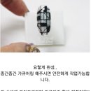 모던네일 - 시흥시 | 모던네일