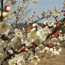 유계농장 이미지