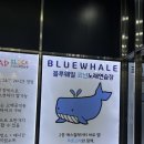 블루노래연습장2 이미지