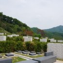 더메모리얼서비스 이미지