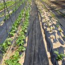 (주)호성 이미지