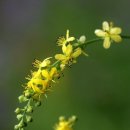 선학초등학교 이미지