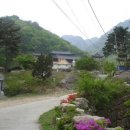 산수유민박 이미지