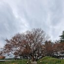 현풍휴게소(상행)대구방향 이미지