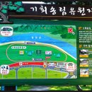 밀양유원지야영장 이미지