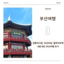 부산여행 깡통야시장과 부산타워, 밀락더마켓 내돈내산 후기