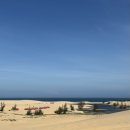 농은목장 | [나트랑] 판랑 사막 단독 지프투어 후기 가격 일정 맛집 꿀팁 내돈내산