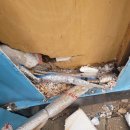 아주아파트 이미지