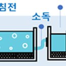 선진이앤지