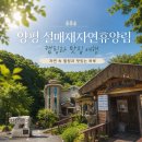 전망대누룽지백숙 | "알고 보니 힐링 명소야?" 양평 가볼만한곳 설매재캠핑장 계곡카페 누룽지백숙 솔직 이용 후기