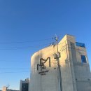 예스 나동 이미지