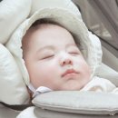 더라운드 이미지