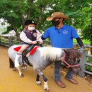 동산자연어린이집 이미지