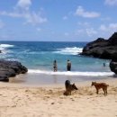 하로홈즈 이미지