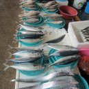 죽도어시장 이미지