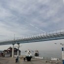 해뜨는회집 이미지